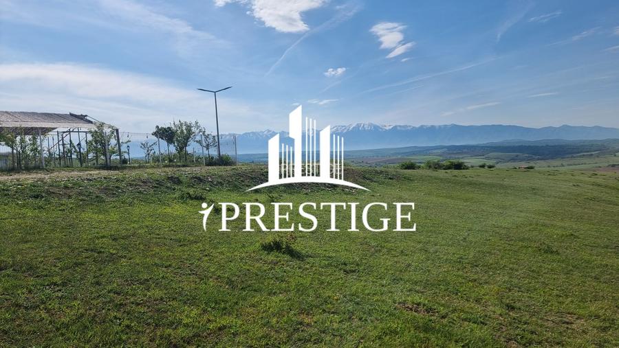 TEREN  EXTRAVILAN 2000 MP ÎN DAIA - BAVARIA | DEALUL 2 | DOAR 15€/MP - 30