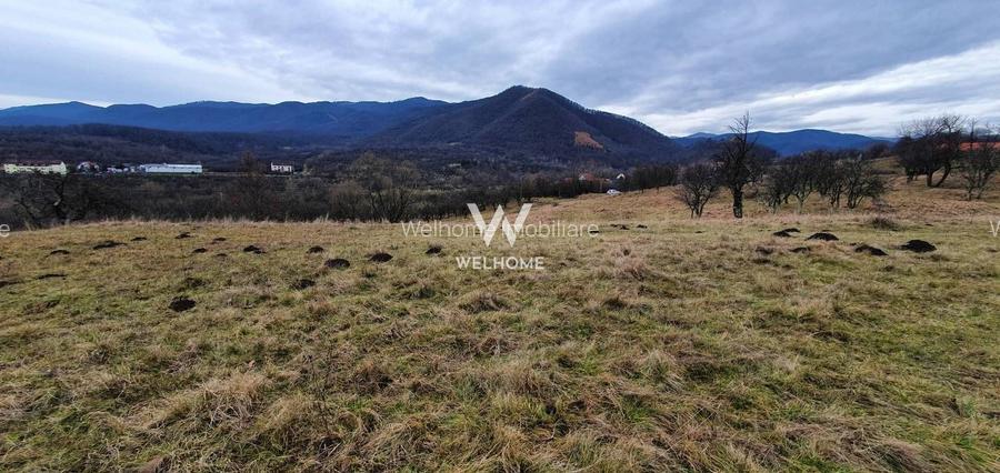 Rădăcini noi, visuri vechi- Teren de vanzare in Cisnadioara, Sibiu - 2