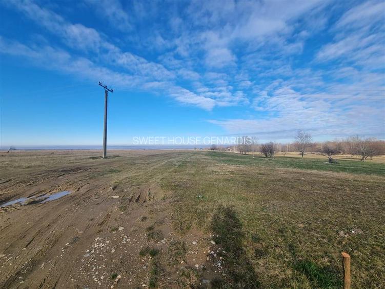 Teren de vanzare in satul de vacanta Dejani - 6