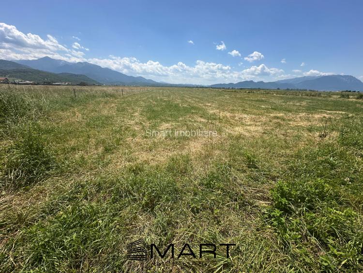 Teren Intravilan Rasnov 7.500 mp - 9