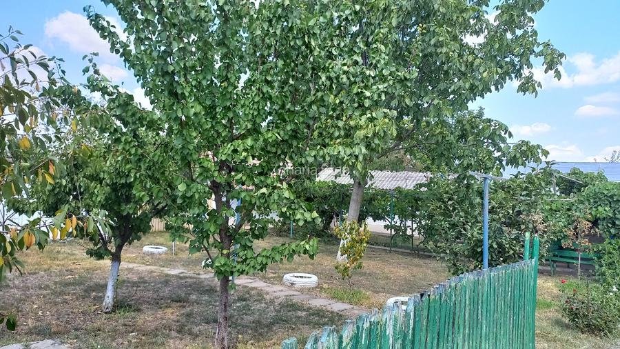 Casă de vânzare Munteni-Buzău județul Ialomița gata de locuit - 9