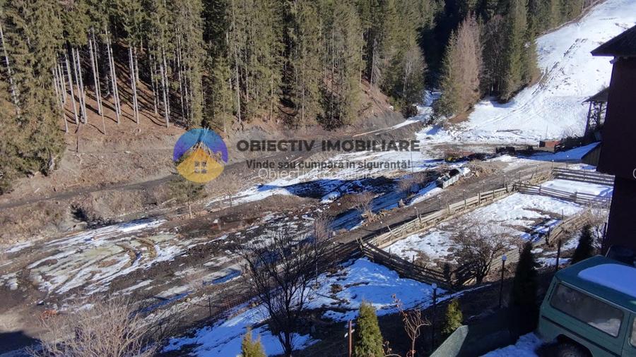 Refugiu Natural: Casă și Teren Înconjurat de Pădure ! - 13