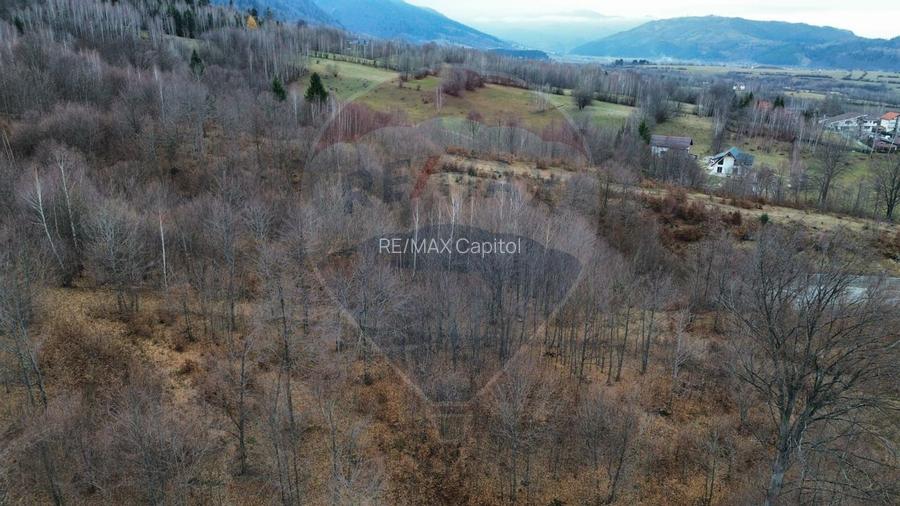 Casă / Vilă cu 7 camere   în zona Bran-Tohanita - 38