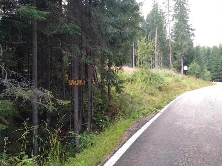 vând teren 3000 mp intravilan Lac Vidra, Voineasa, Valcea 3 km de partia de ski  - 2