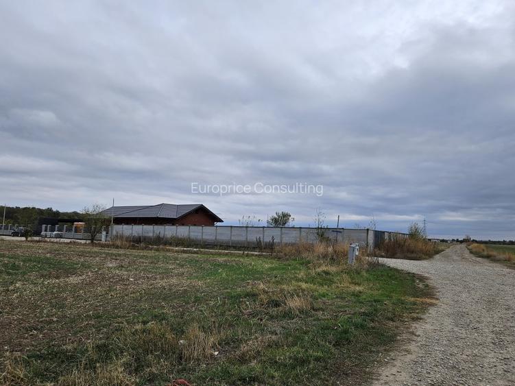 SNAGOV  TANCABESTI- STRADA MIHAI EMINESCU - 3