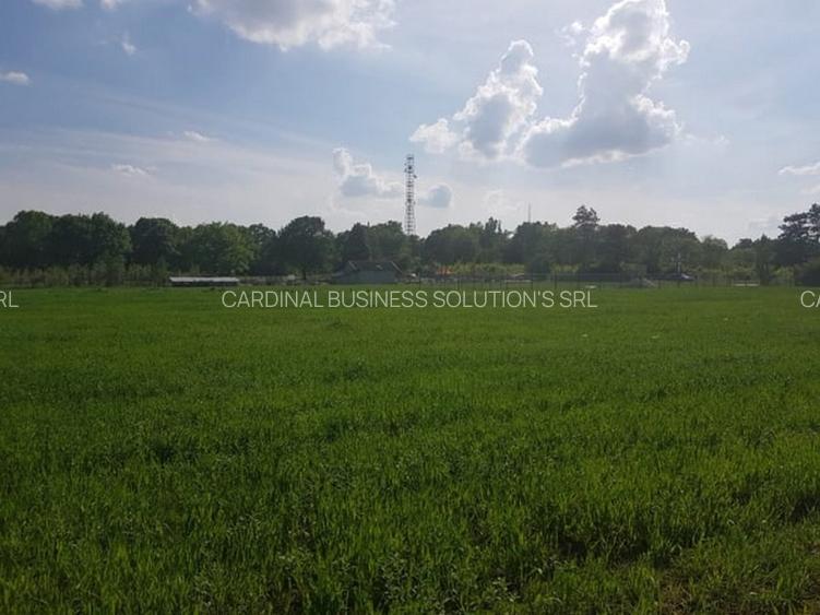 Ciolpani, zona Cimitir Britanic, stradal - 2