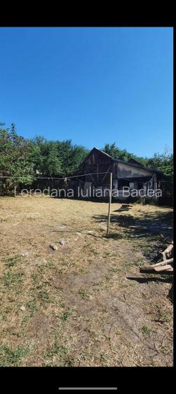 Case comuna Verbița + teren + livada pruni - 6