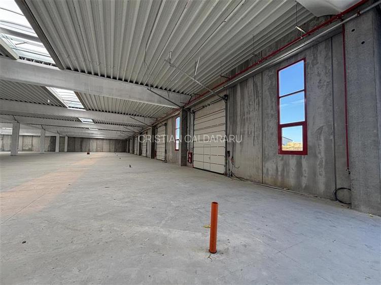 Vanzare depozit/spatiu industrial/hala Chitila - Rudeni, ILFOV - 4
