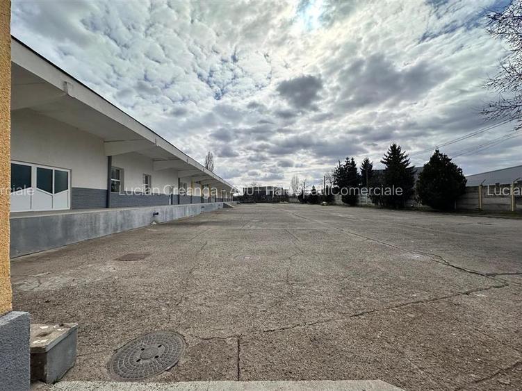 Hale/ spatii de inchiriat in jud. Iasi, Pascani, de la 500mp la 5000mp - 8