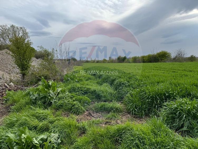 Teren cu PUZ aprobat -  Destinatie logistica, industriala si servicii - 11