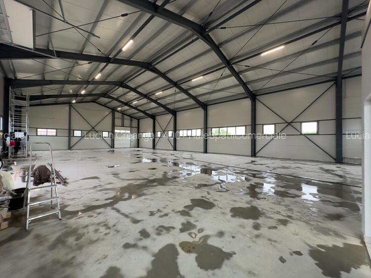 Hala de la 583mp la 1166, Letcani, aproape de Metro - 15