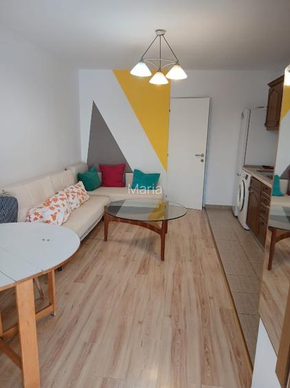 Apartament.cu 1 camera ultracentral - 6