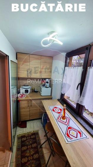 DE VANZARE Bulevardul Republicii, apartament cu 4 camere - 9