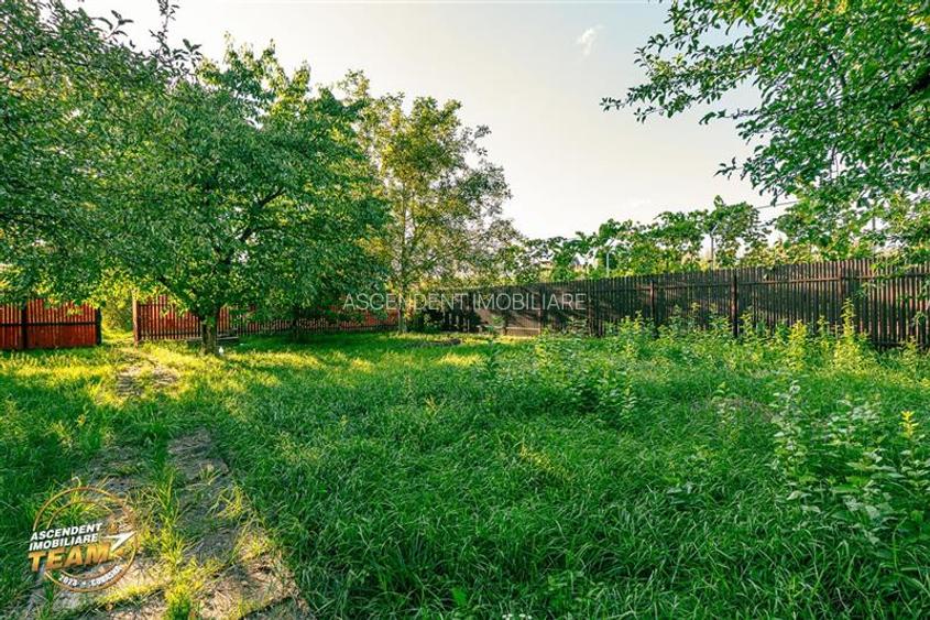 FILM! Casuta cu peste 800mp teren, areal estimabil, Lenin, Sfantu Gheorghe - 24