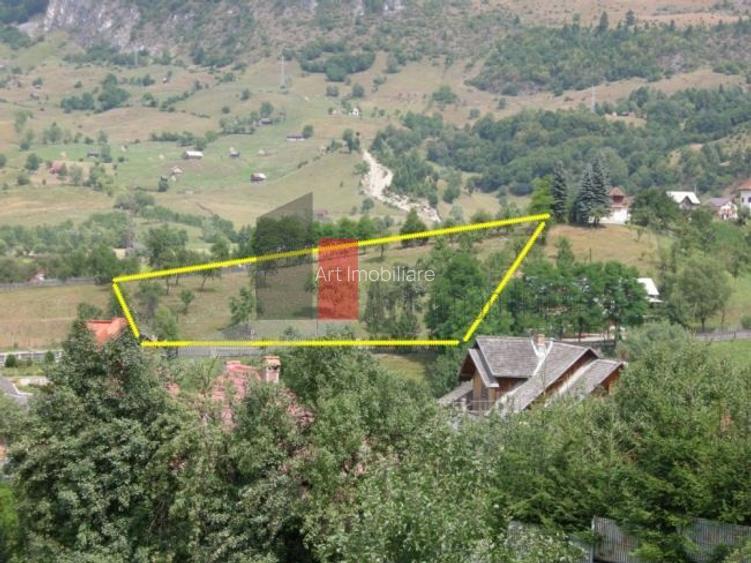Teren intravilan 3214 mp  în Rucăr cu deschidere 56 m în DN73 - 2