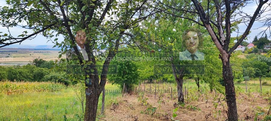 Teren generos 2186 mp cu casă bătrânească – Copăcești, județul Vrancea - 6