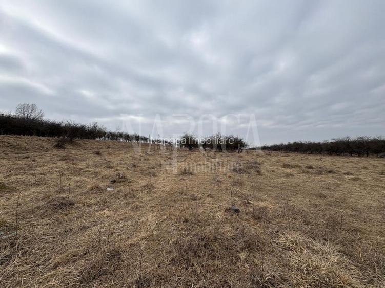 Teren intravilan pentru constructii de vanzare in Feleacu - 3