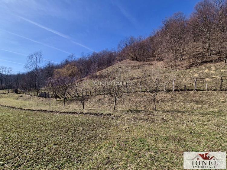 Casa de vanzare/schimb in Metes - Presaca Ampoiului - 9