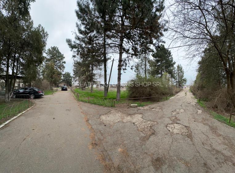 Teren intravilan Mogosesti | Giurgiu | 370.000mp | Adunatii Copaceni - 5