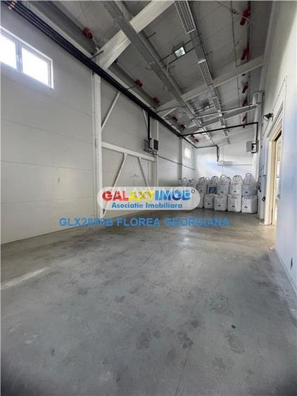 Vanzare spatiu industrial Crevedia - 7