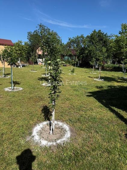 | Casa tip Vila 105 mpu Prunaru-Bujoreni Tr- curte proprie 500 mp | - 22