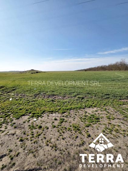 Investiție pe litoral – loturi de teren la intrarea în Costinești - 5