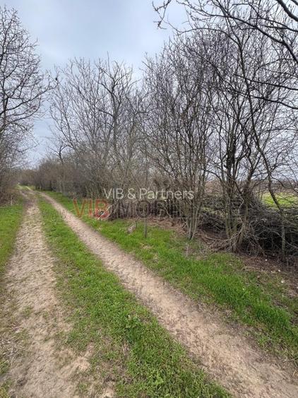 Jilava - Centura Bucuresti - teren intravilan 423 mp - 3