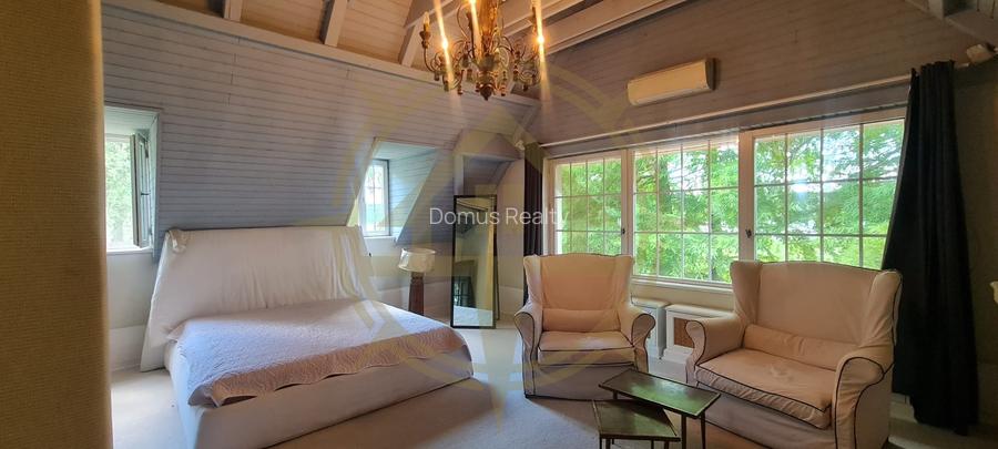 DOM00445 - Vila de poveste la lac cu ponton in Snagov - 26