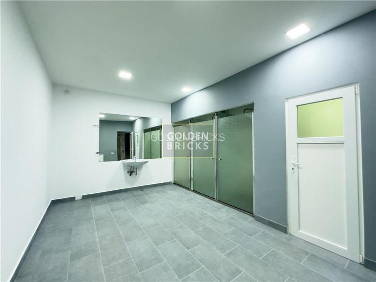 Banu Manta | Piata Victoriei | 230mp | open space - 6