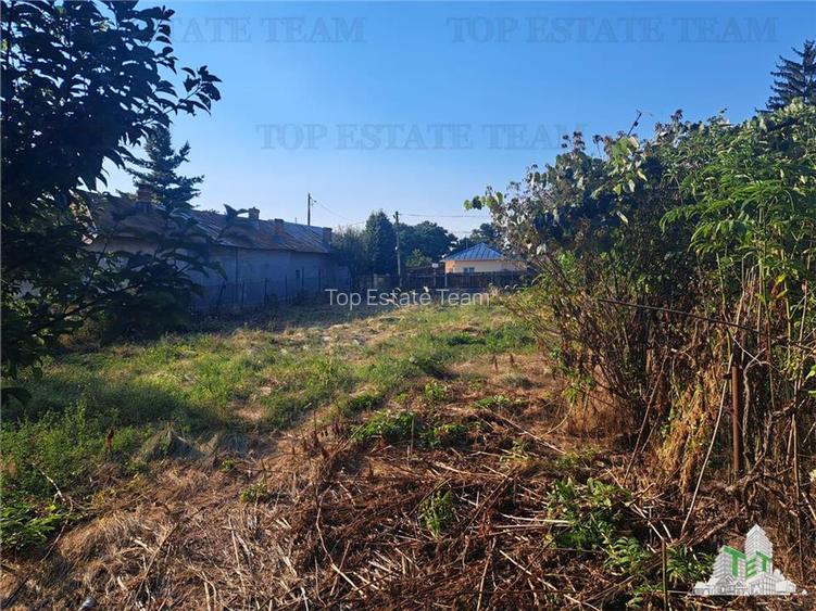 Casa cu teren 3579mp in com. Cascioarele, Jud. Giurgiu - 4