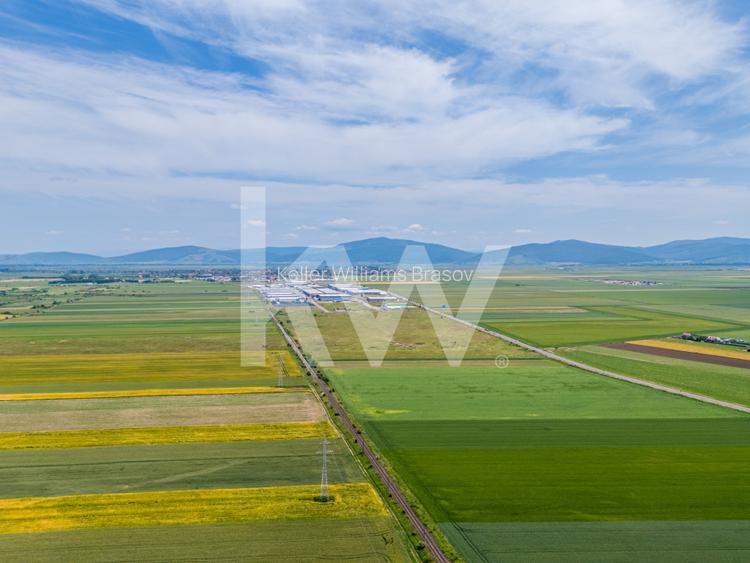 Teren de vanzare I 43 500 mp I Deschidere la drum - Harman - 15