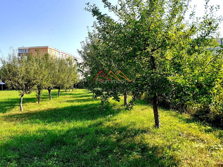 Casa 3 camere, teren 3625 mp, toate utilitatile, Sacele, Brasov - 4