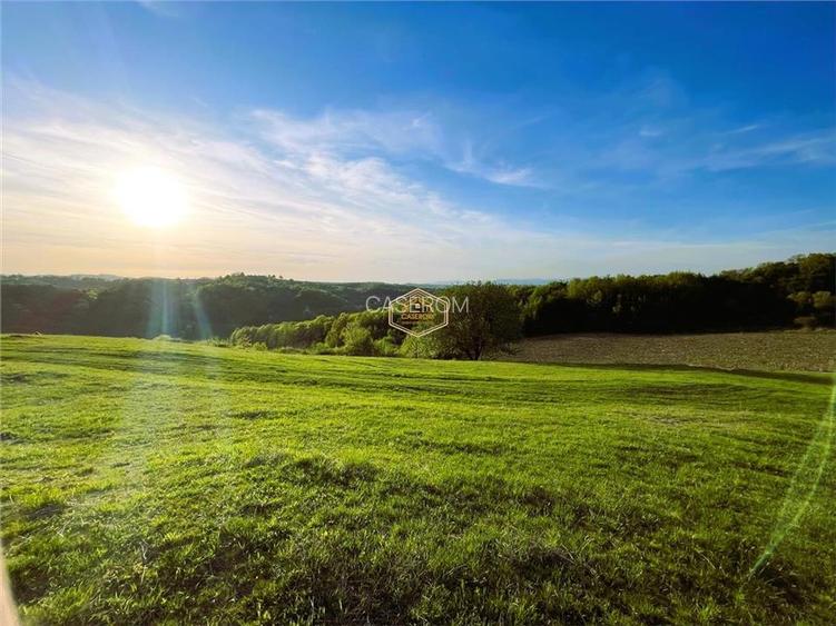 Teren de 9.500 mp in Maramures | Varf de deal, priveliste de pus in rama | Retre - 9