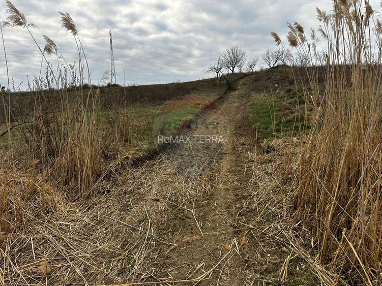 Teren cu panorama superba în Berchezoaia + bonus rulota - 8