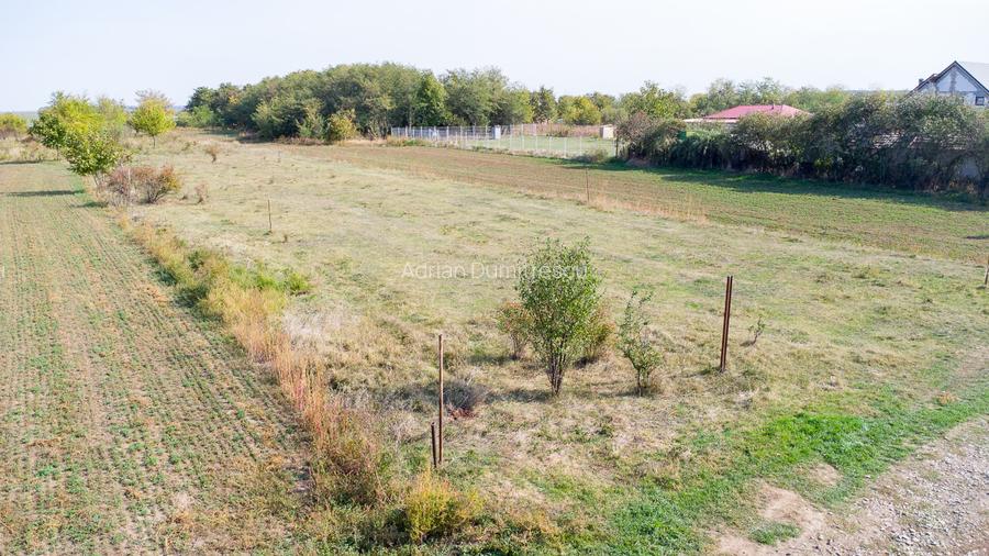 Teren intravilan Ilfov, Petrachioaia, la 3 minute STB Biserica Vanatori - 4