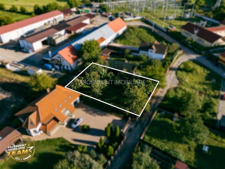 FILM! Casuta cu peste 800mp teren, areal estimabil, Lenin, Sfantu Gheorghe - 15