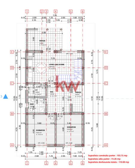 Vila 5 camere Aroneanu - 19