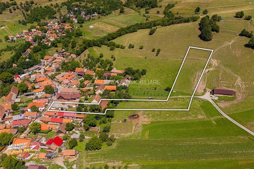 FILM! Domeniu peste 5.000mp+ 2case traditionale, Bixad, Covasna - 56