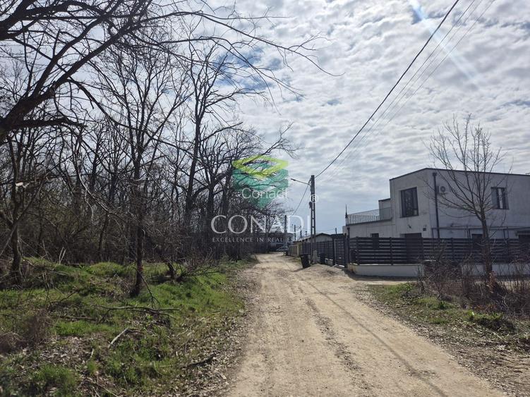 Teren || vis - a - vis de Padure - Balotesti || 2.000 mp - 5