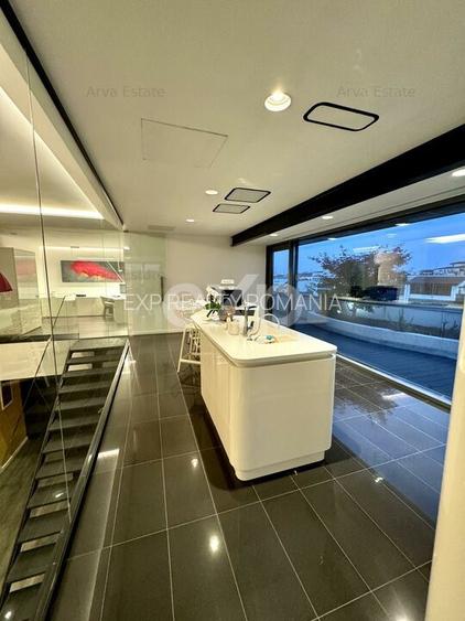 Descopera Luxul: Penthouse 414 mp Cartierul Francez Herastrau Nordului - 10