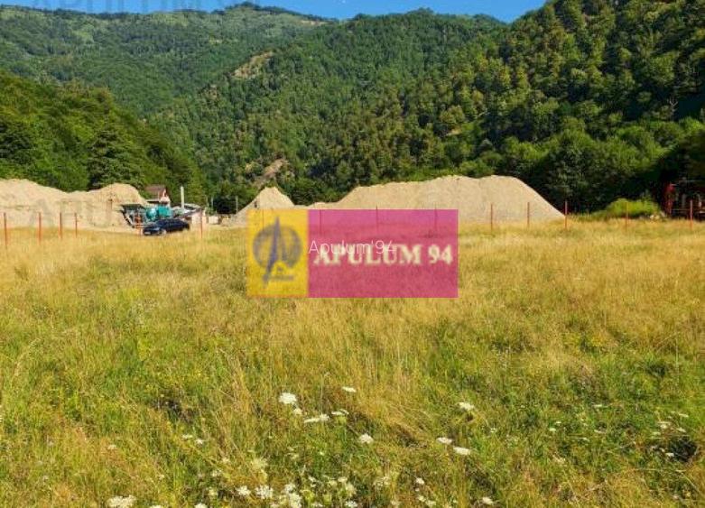 Teren Județul Vâlcea - Brezoi, Valea lui Stan - 13