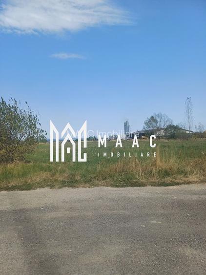 Teren | 10,000 MP | Extravilan | Posibilitate de parcelare | Cristian - 2