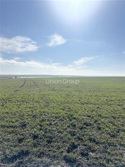 Teren Intravilan, 700 mp, Aproape de Lac - Techirghiol - 4