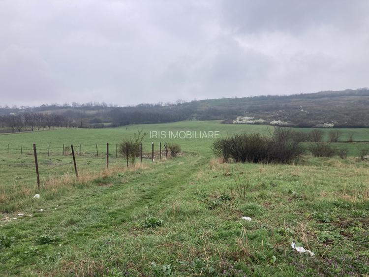 Miroslava! Teren agricol 6435, la 2 min de Primarie! - 3