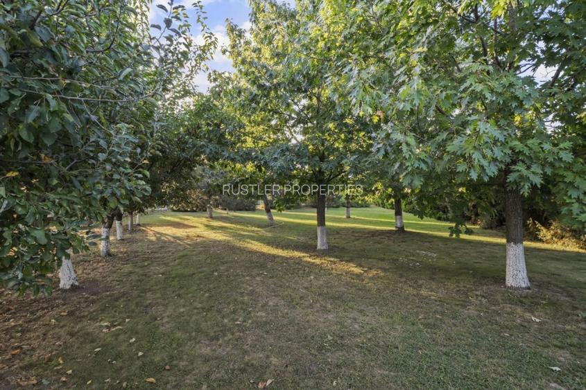 Vila Exclusivista din Cernica - Eleganta, Spatiu si Natura. - 5