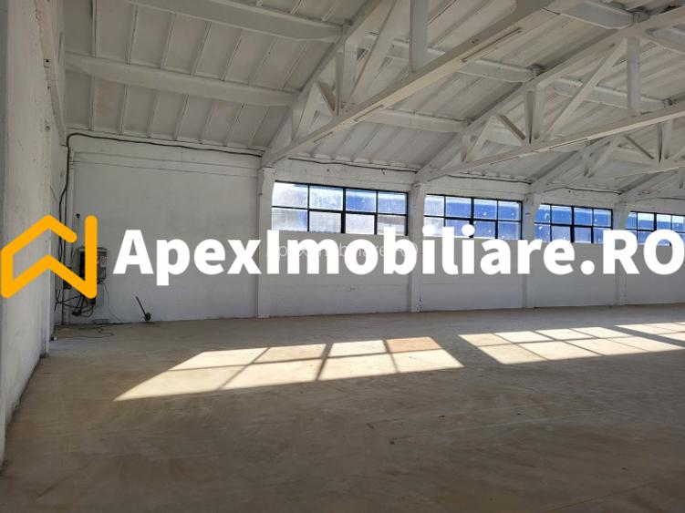 Hala Industriala Xenia – 1800 mp, Acces TIR, Parcare 50 Auto - 9