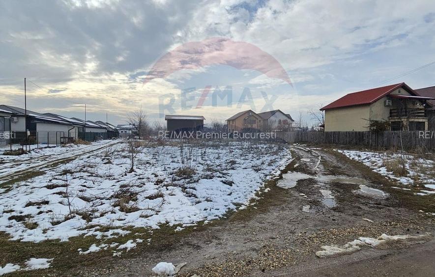 Teren 750mp Domnesti / Strada Martisor - 3