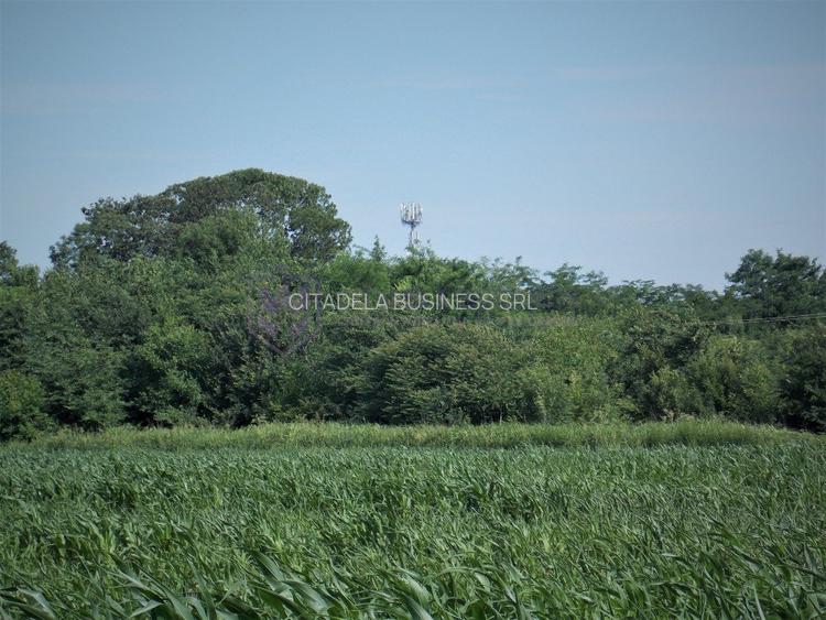 LAZU - Teren intravilan 1500 mp, cu deschidere la DN39! - 7