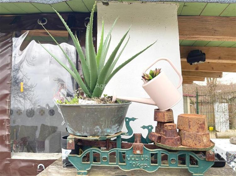 Casa de vanzare in Nufaru - 20