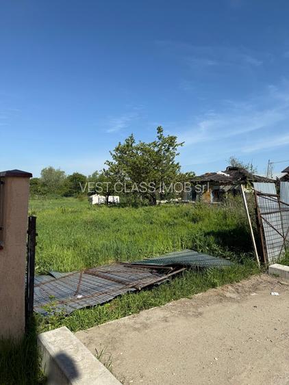 Teren intravilan,Teghes,Domnesti,strada Caminului - 5